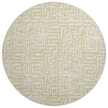 Dalyn Rug Company The Reserve TR1 Wheat 8" Round Indoor/Outdoor Area Rug, , large