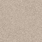 Shaw Abilene II Carpet in Gentle Rain, , large