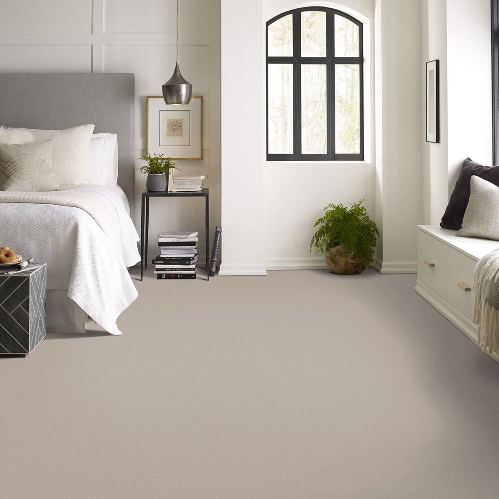 Anderson Tuftex Finery Carpet in First Frost, , large
