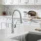Blanco Empressa Pull-Down Kitchen Faucet 1.5 GPM in Chrome, , large
