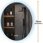 Lexora Home Nordica 28" Circular LED Vanity Mirror, , large