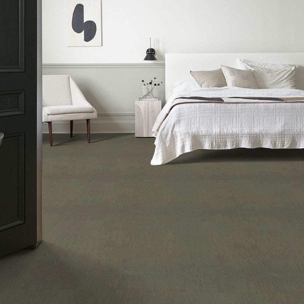 Anderson Tuftex Luxe Feel I Carpet in Bonsai, , large