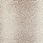 Stanton Enchanted Mufasa Carpet in Praliine, , large