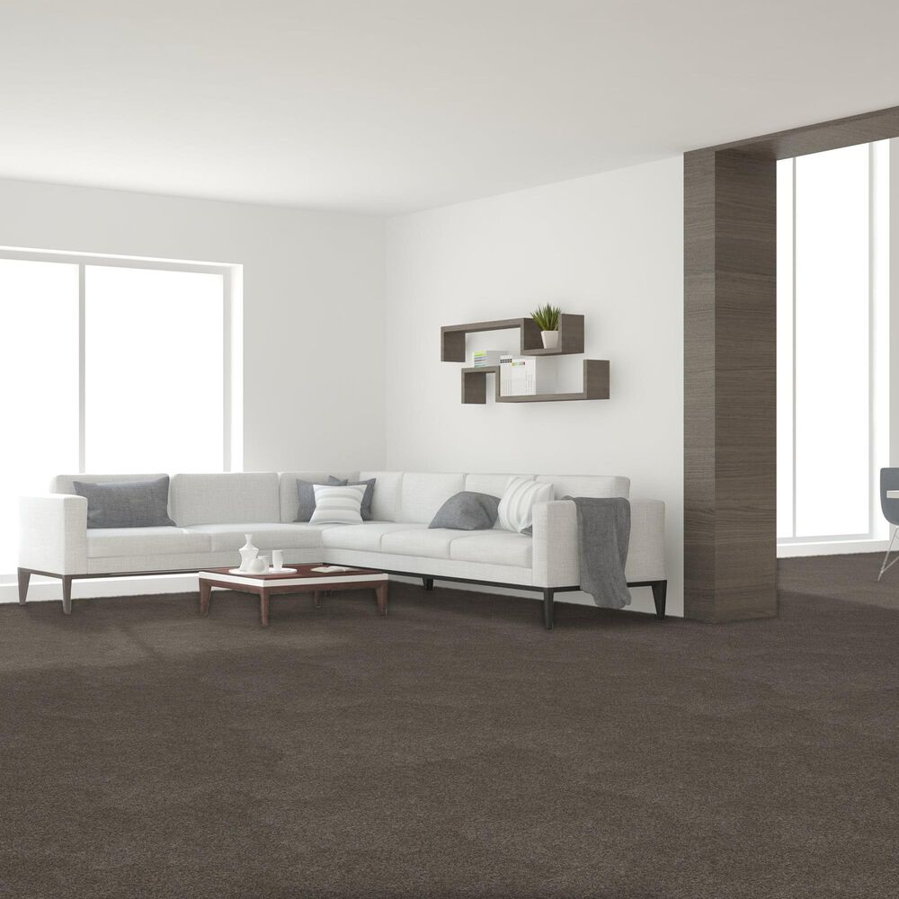 Dream Weaver Serene II Carpet in Ridgeview, , large