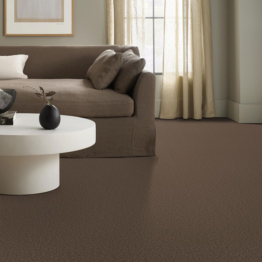Shaw Tonal Comfort I Carpet in Cliff Hiking, , large