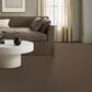 Shaw Tonal Comfort I Carpet in Cliff Hiking, , large