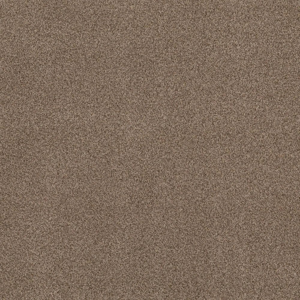 Anderson Tuftex Terra Nova Carpet in Ranch, , large