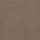 Anderson Tuftex Terra Nova Carpet in Ranch, , large