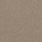 Shaw Affirmation I Carpet in Basketry, , large