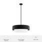 Hunter Station 4-Light Pendant in Natural Iron, , large