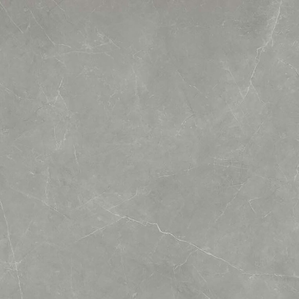 Emser Sterlina Gray 24&#39;&#39; x 47&#39;&#39; Porcelain Tile, , large