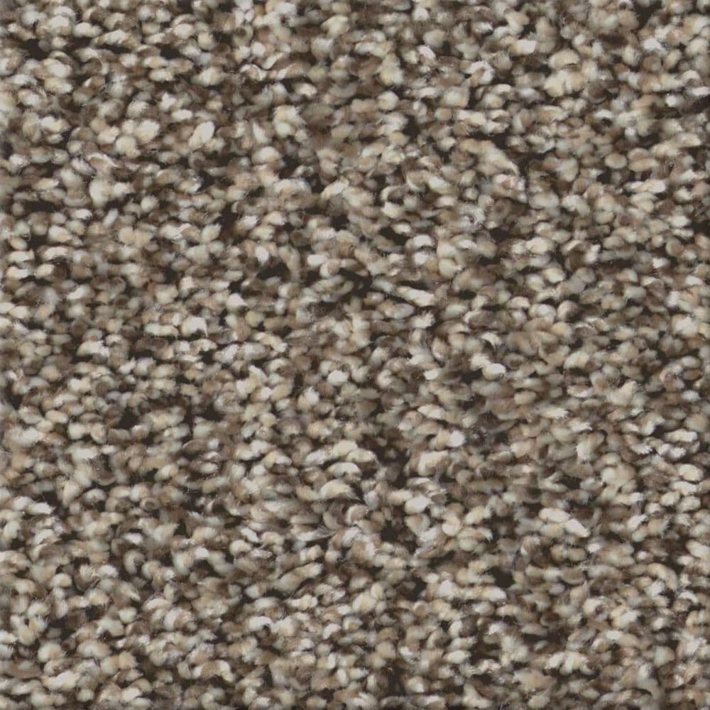 Shaw Renewed Energy II Carpet in Countryside, , large