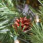 The Gerson Company 7.5" Charleston Pre-Lit Artificial Christmas Tree in Green, , large