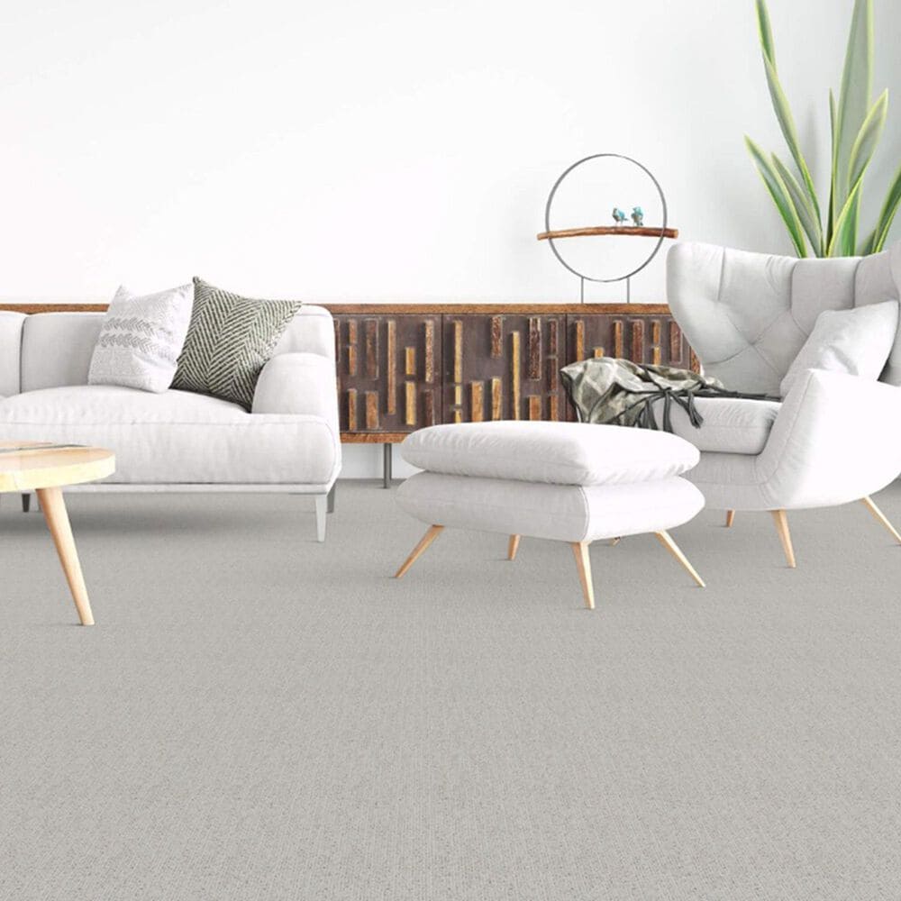 Dixie Home Worthington Carpet in Medium, , large