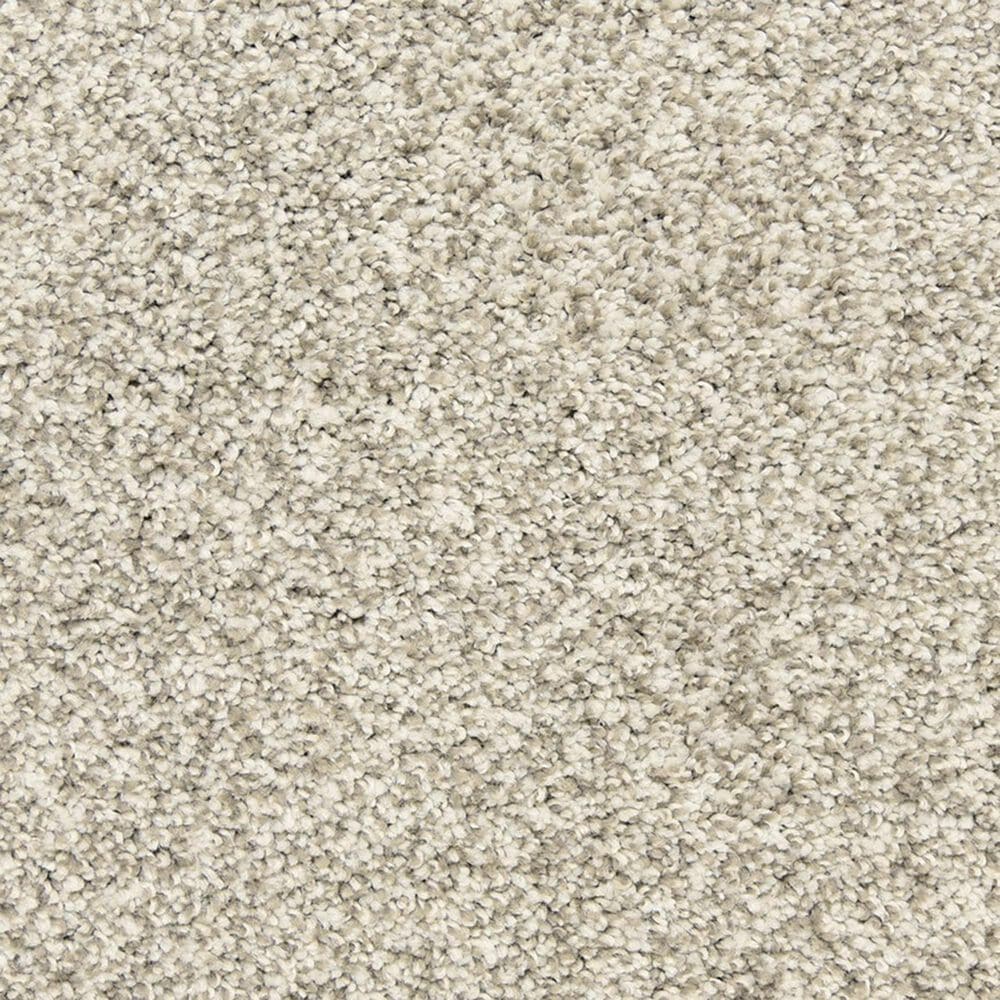 Dixie Home Natural Beauty Carpet in Fog, , large