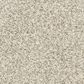 Dixie Home Natural Beauty Carpet in Fog, , large