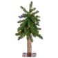 The Gerson Company 2" Alpine Pre-Lit Artificial Christmas Tree in Green, , large