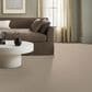 Anderson Tuftex Fabulous Carpet in Windswept, , large