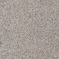 Mohawk Canine Comfort Carpet in Higway, , large