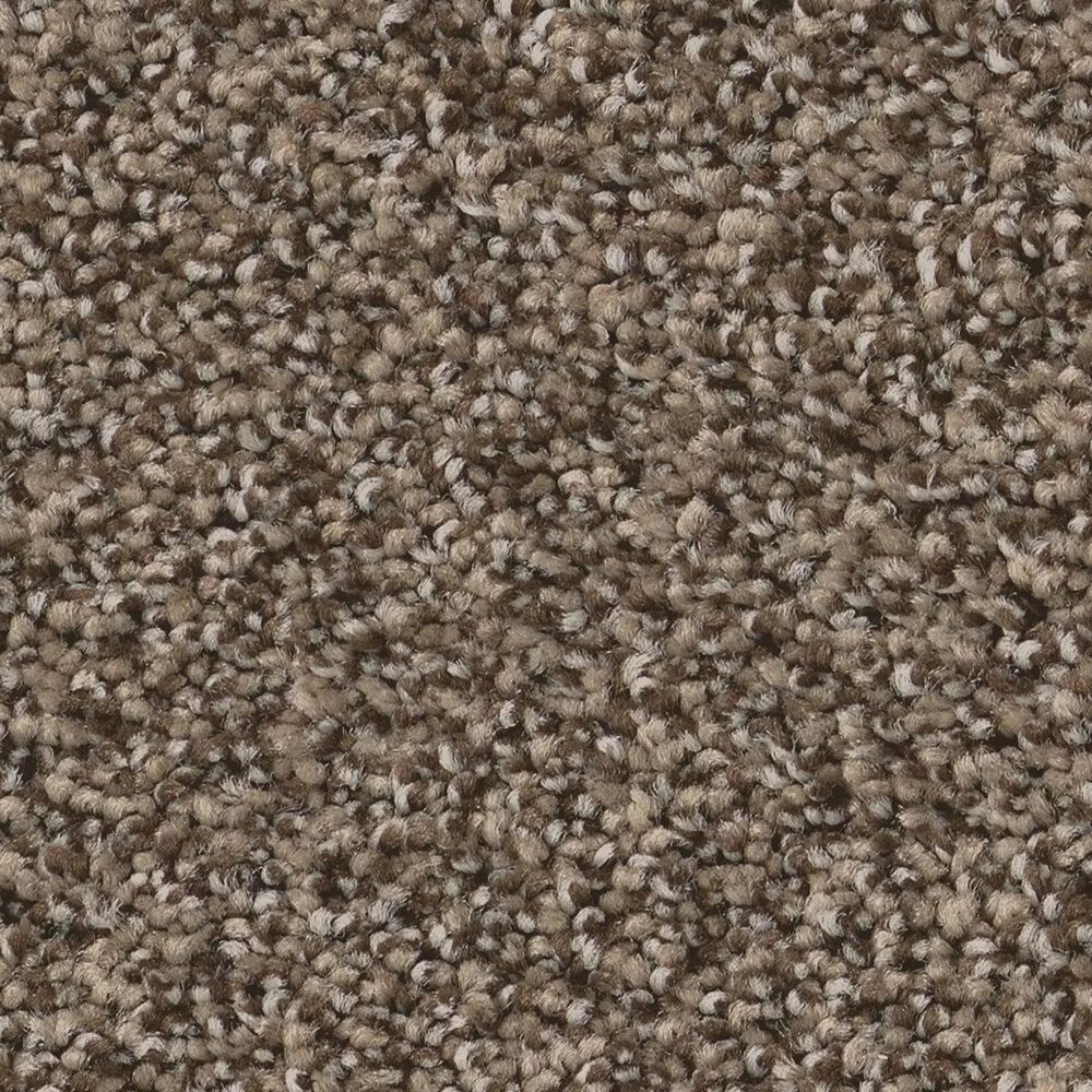 Anderson Tuftex Wyndham Estate Carpet in Smokehouse, , large
