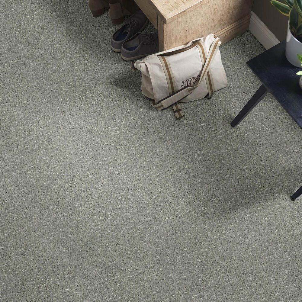 Anderson Tuftex Contour Carpet in Pine Forest, , large