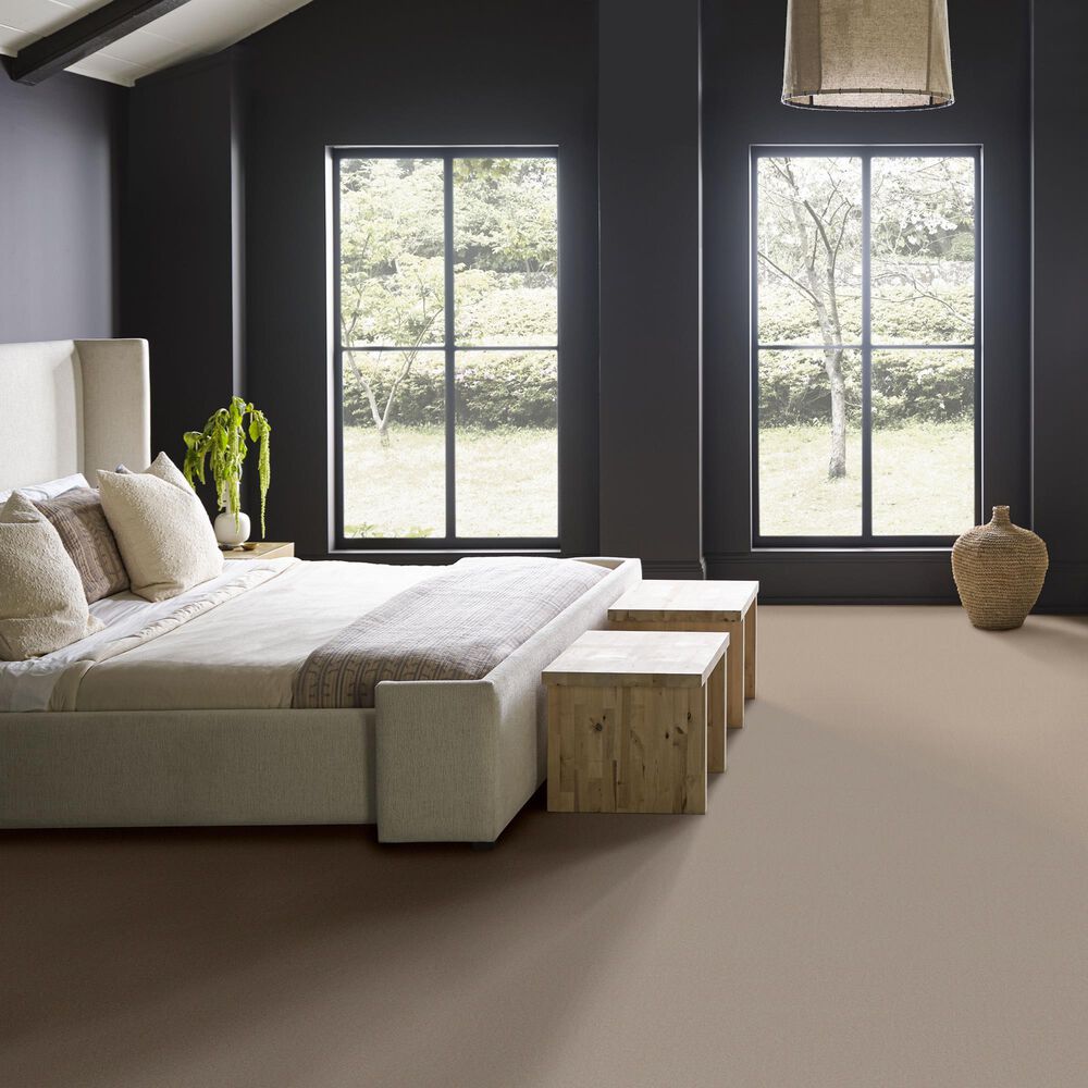 Anderson Tuftex Finery Carpet in Putty, , large