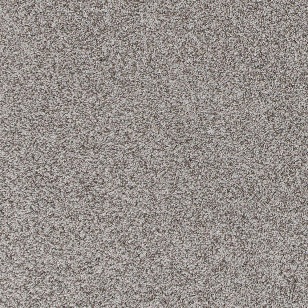 Mohawk Canine Comfort Carpet in Pebble Path, , large