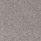 Mohawk Canine Comfort Carpet in Pebble Path, , large