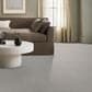 Anderson Tuftex Ambitious Carpet in Grey Fox, , large