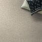 Shaw Home Within Carpet in Natural, , large