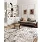 Loloi II Alchemy ALC-04 3"4" x 5"7" Silver and Graphite Area Rug, , large