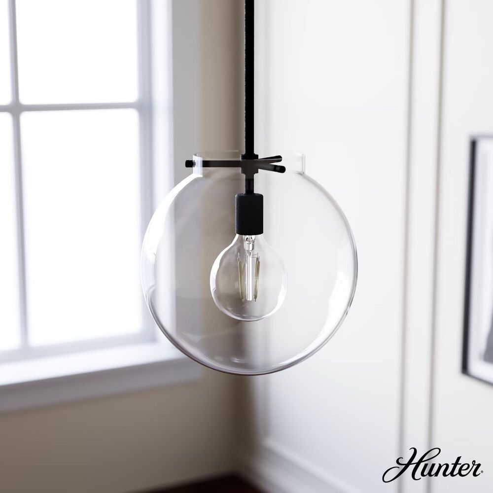 Hunter Sacha 1-Light Pendant in Natural Iron, , large
