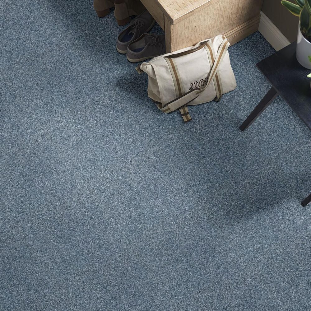 Shaw Find Your Comfort NS II Carpet in Lakeside Retreat, , large