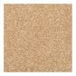 Dixie Home Lavato Carpet in Rawhide, , large