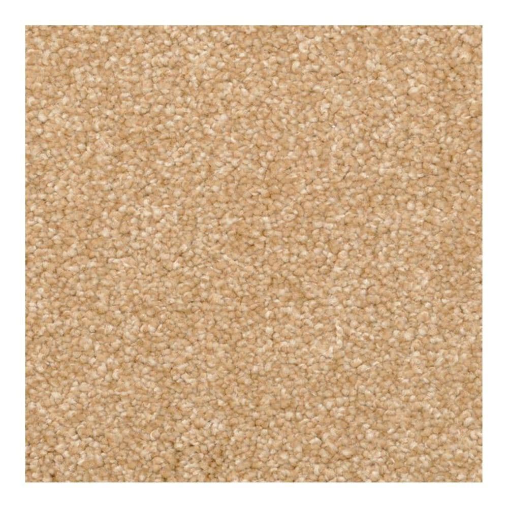 Dixie Home Lavato Carpet in Rawhide, , large