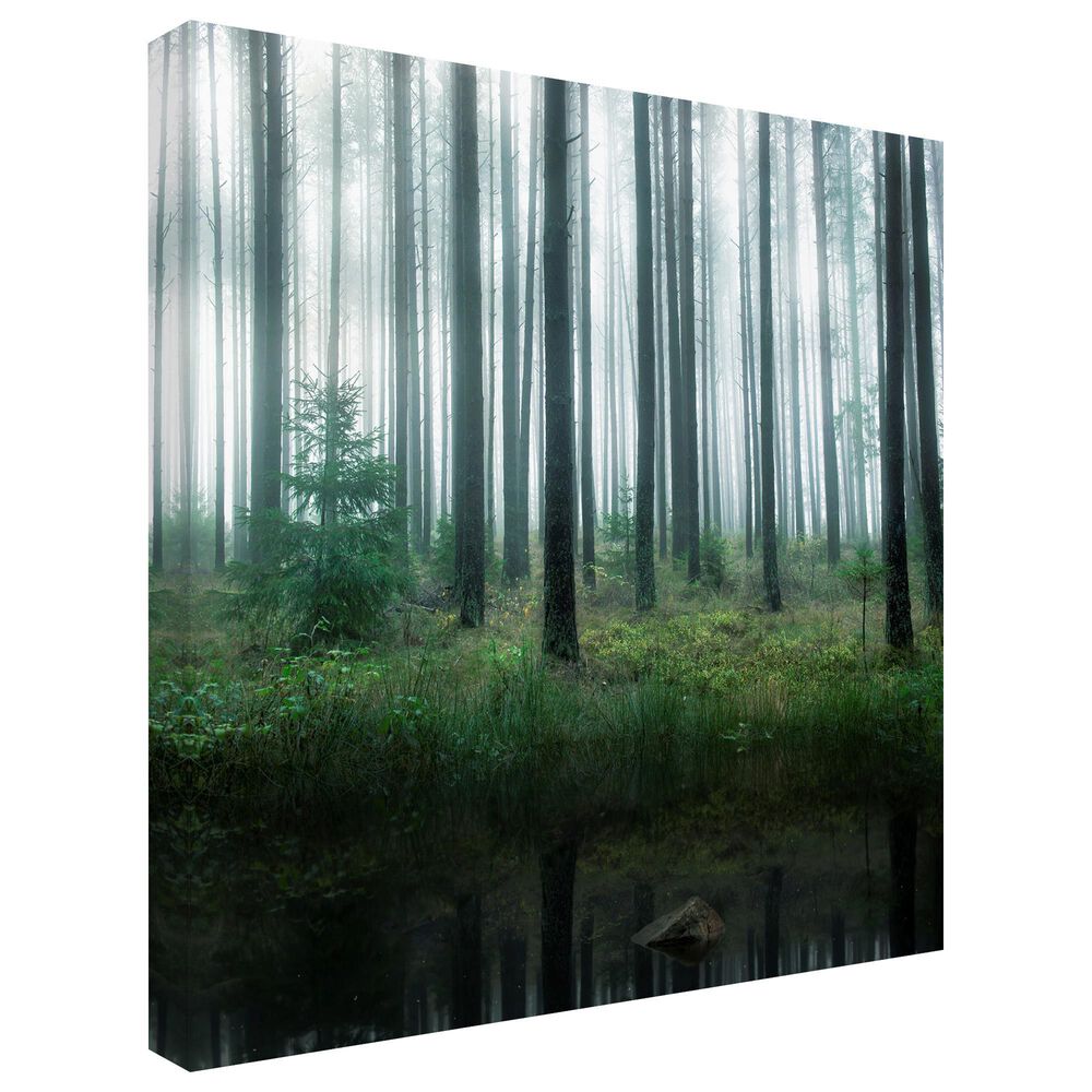Timberlake Christian Lindsten &#39;Lake In Forest&#39; 24&quot; x 24&quot; Canvas Art, , large