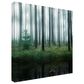 Timberlake Christian Lindsten "Lake In Forest" 24" x 24" Canvas Art, , large