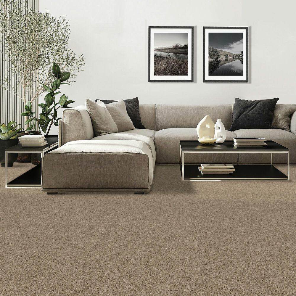 Mohawk Diffurent Choice III Carpet in Harmony, , large