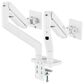 MSI Dual-Arm Monitor Mount for 17 to 45" Displays in Matte White, , large