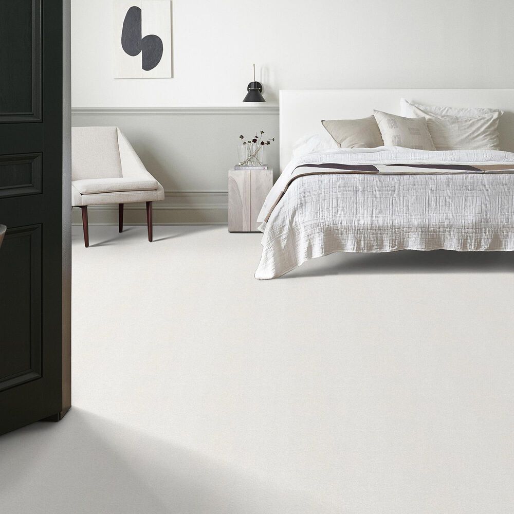 Shaw Tonal Comfort Ii Carpet in Gallery Opening, , large