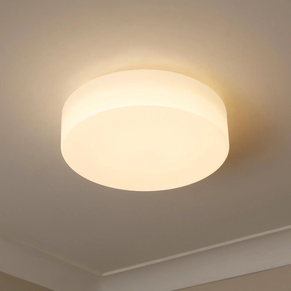 Golden Lighting Toli 1-Light Flush Mount in Matte Black, , large