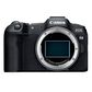 Canon EOS R8 Mirrorless Camera, , large
