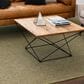 Drew and Jonathan Home Paloma 8" x 10" Lichen Area Rug, , large