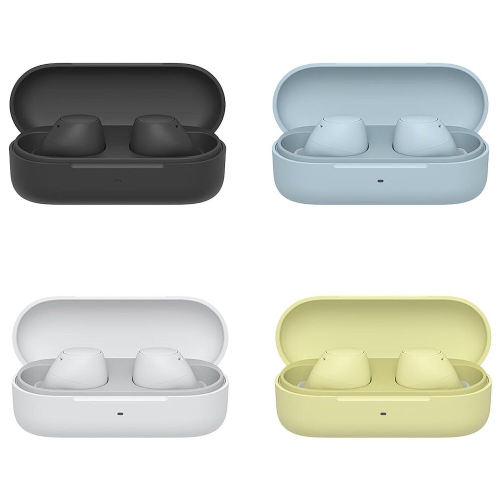 Sony Truly Wireless Earbuds in Black, , large