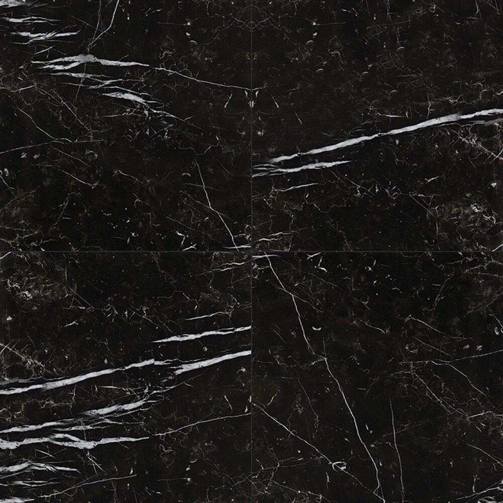 MS International Regallo Marquina Noir 24" x 24" Polished Porcelain Tile, , large