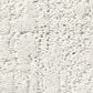Shaw Creating Memories Carpet in Coming Home, , large