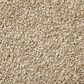 Shaw Find Your Comfort NS I Carpet in Honey Tea, , large