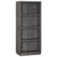 Belle Furnishings Modern Edge 4-Shelf Bunching Bookcase in Caffe, , large