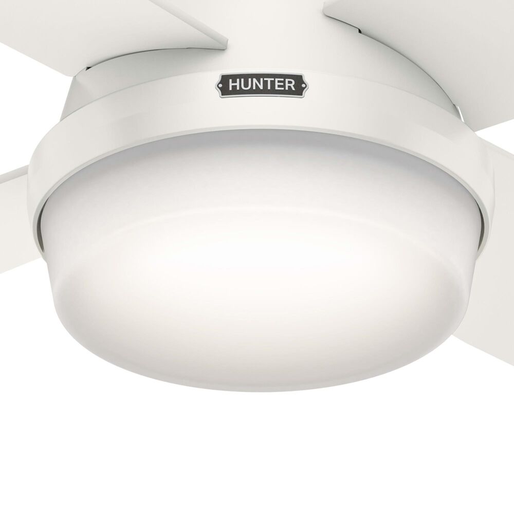 Hunter Dempsey Low Profile 52&quot; Ceiling Fan with Lights in Fresh White, , large