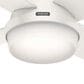 Hunter Dempsey Low Profile 52" Ceiling Fan with Lights in Fresh White, , large